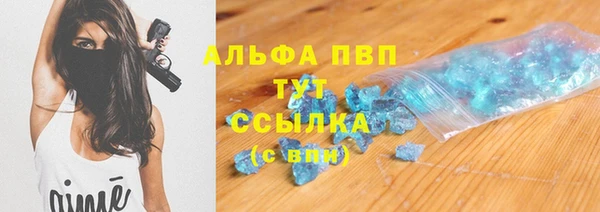 ешки Новозыбков
