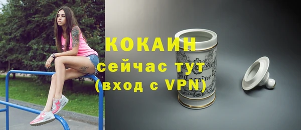 apvp Дегтярск
