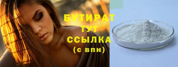 гидра Няндома