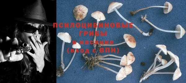 ешки Новозыбков