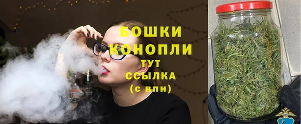 apvp Дегтярск