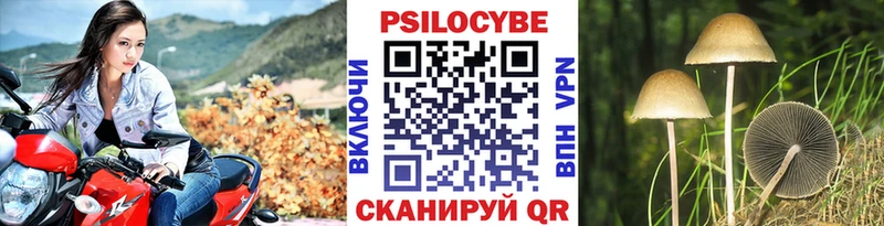 Псилоцибиновые грибы прущие грибы  продажа наркотиков  Истра 