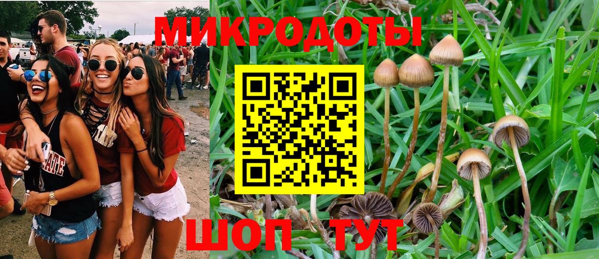 Галлюциногенные грибы ЛСД  Псилоцибиновые грибы Psilocybine cubensis  Истра 