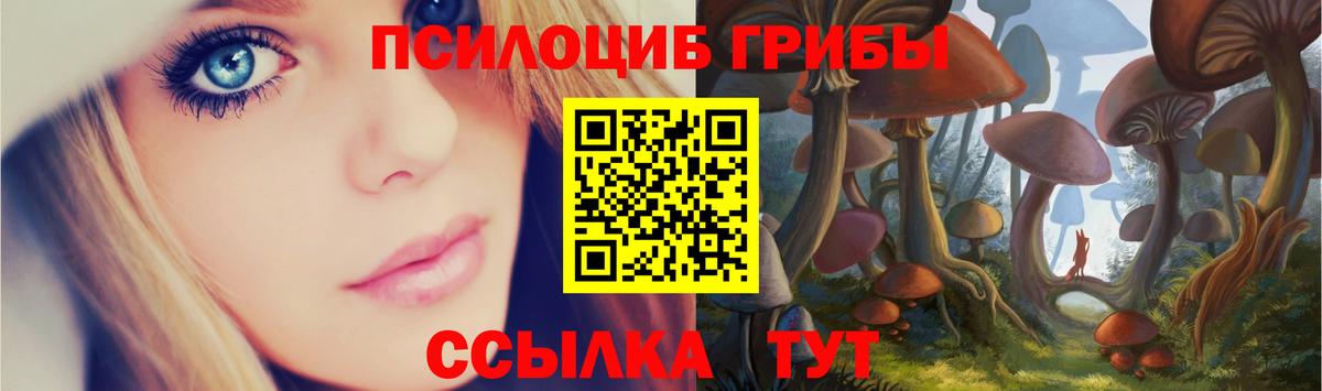 Галлюциногенные грибы ЛСД  Галлюциногенные грибы Psilocybe  Вход с VPN  Истра 